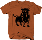 Angry Bull Matador