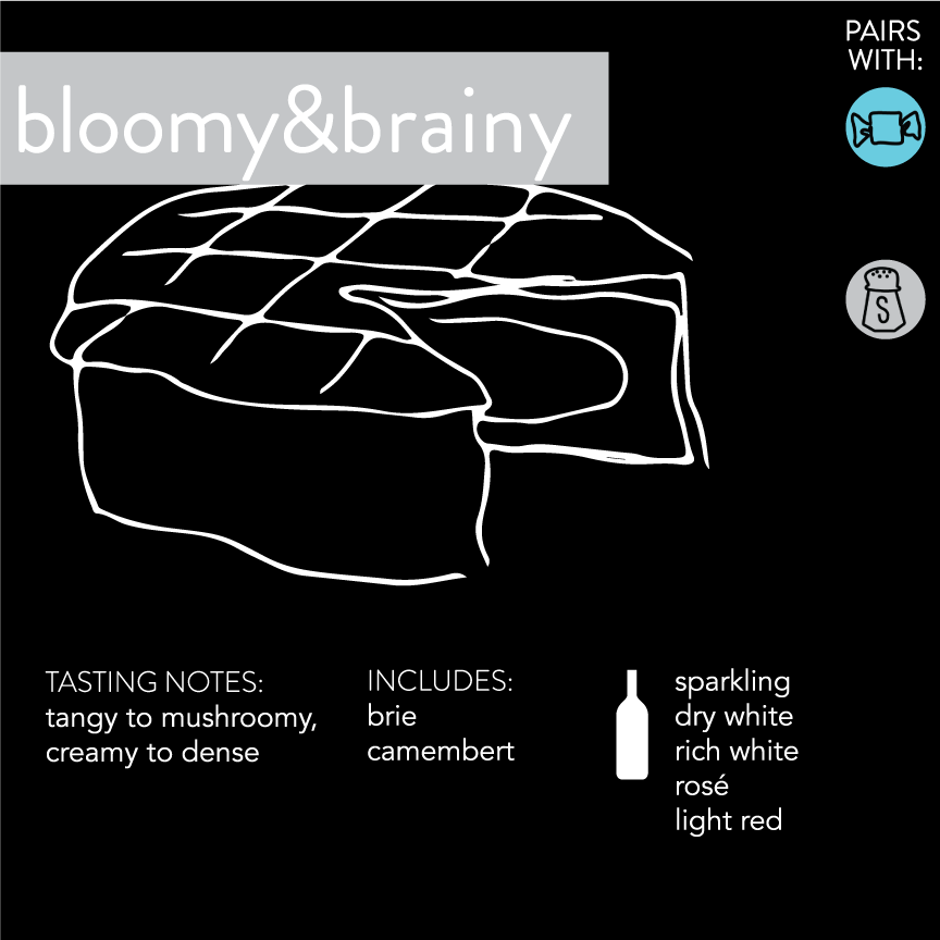 Bloomy and brainy infographic