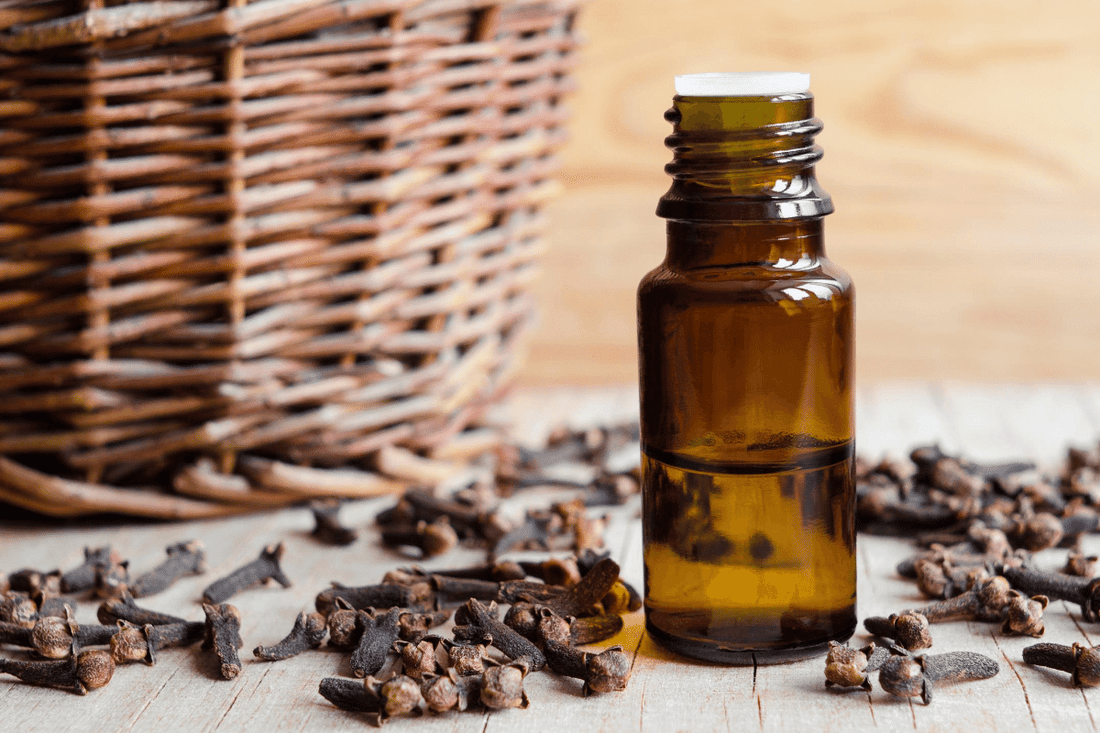 Top clove benefits for hair and skin | Blog | Derma Organics – Derma  Organics