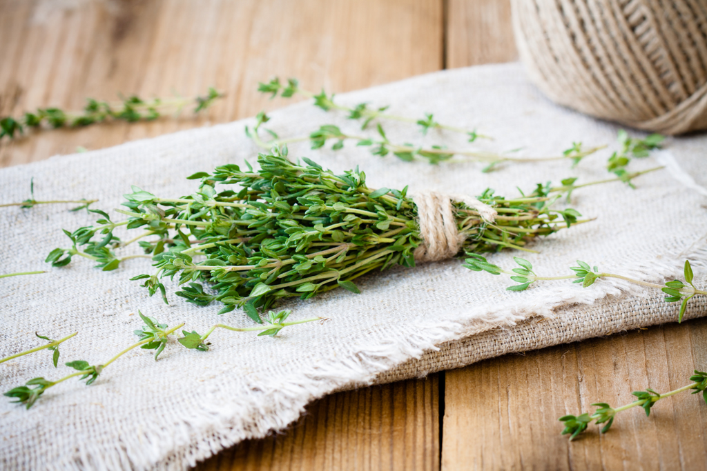 Derma Organics Blog Natural antiviral remedies - Part 1: Antiviral herbs Thyme
