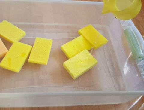 sponges sitting in a container of water