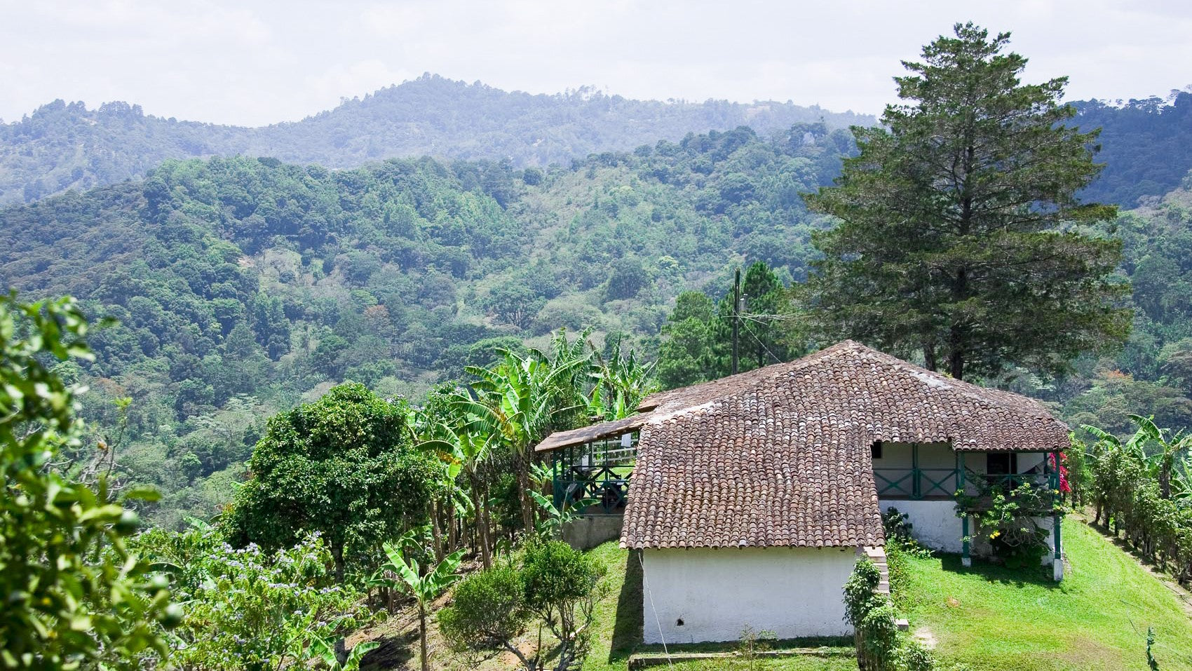 Matagalpa, Nicaragua honeymoon