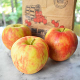 honeycrisp apples with brown orchard bag in back