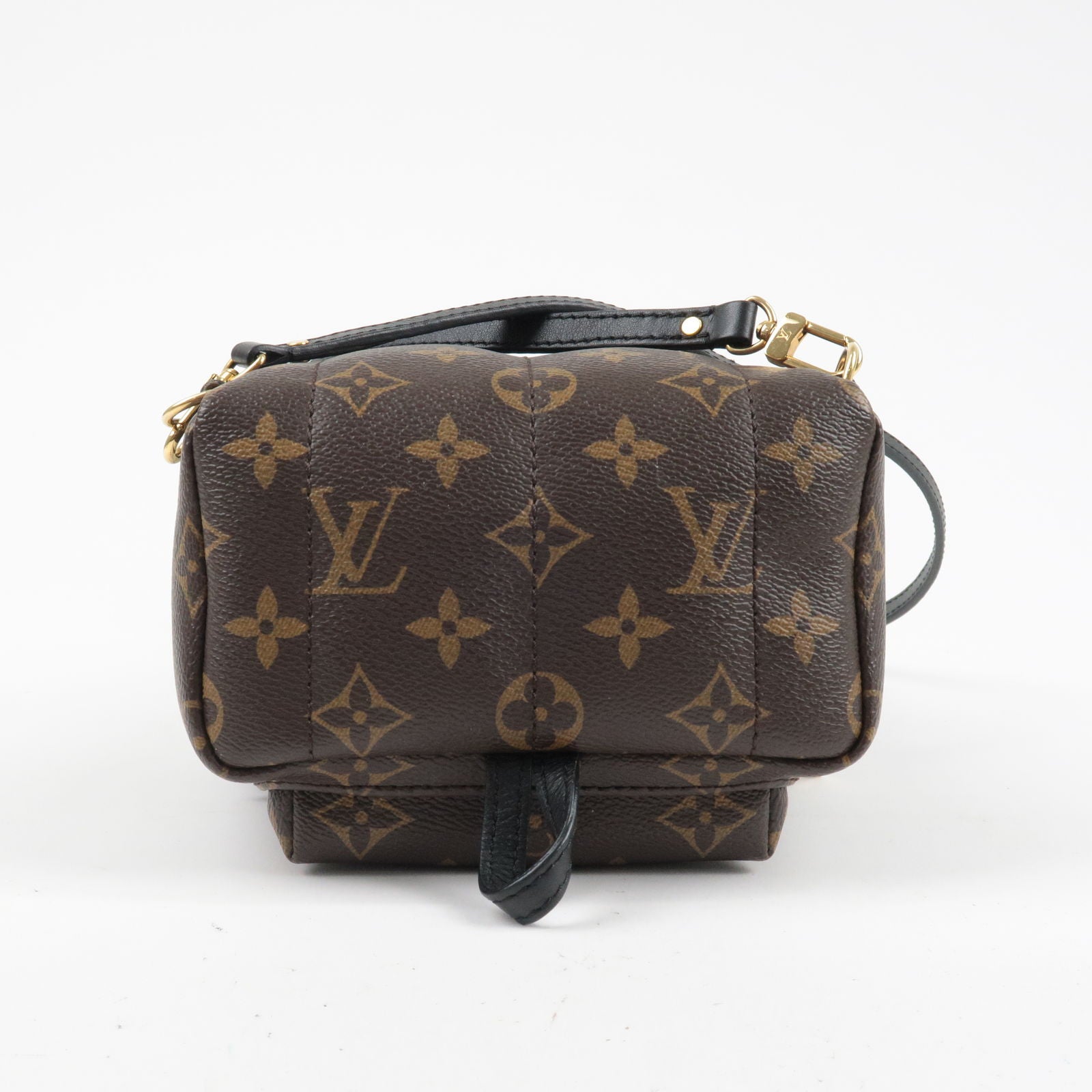 LOUIS VUITTON Monogram World Tour Palm Springs Shoulder Bag M42971