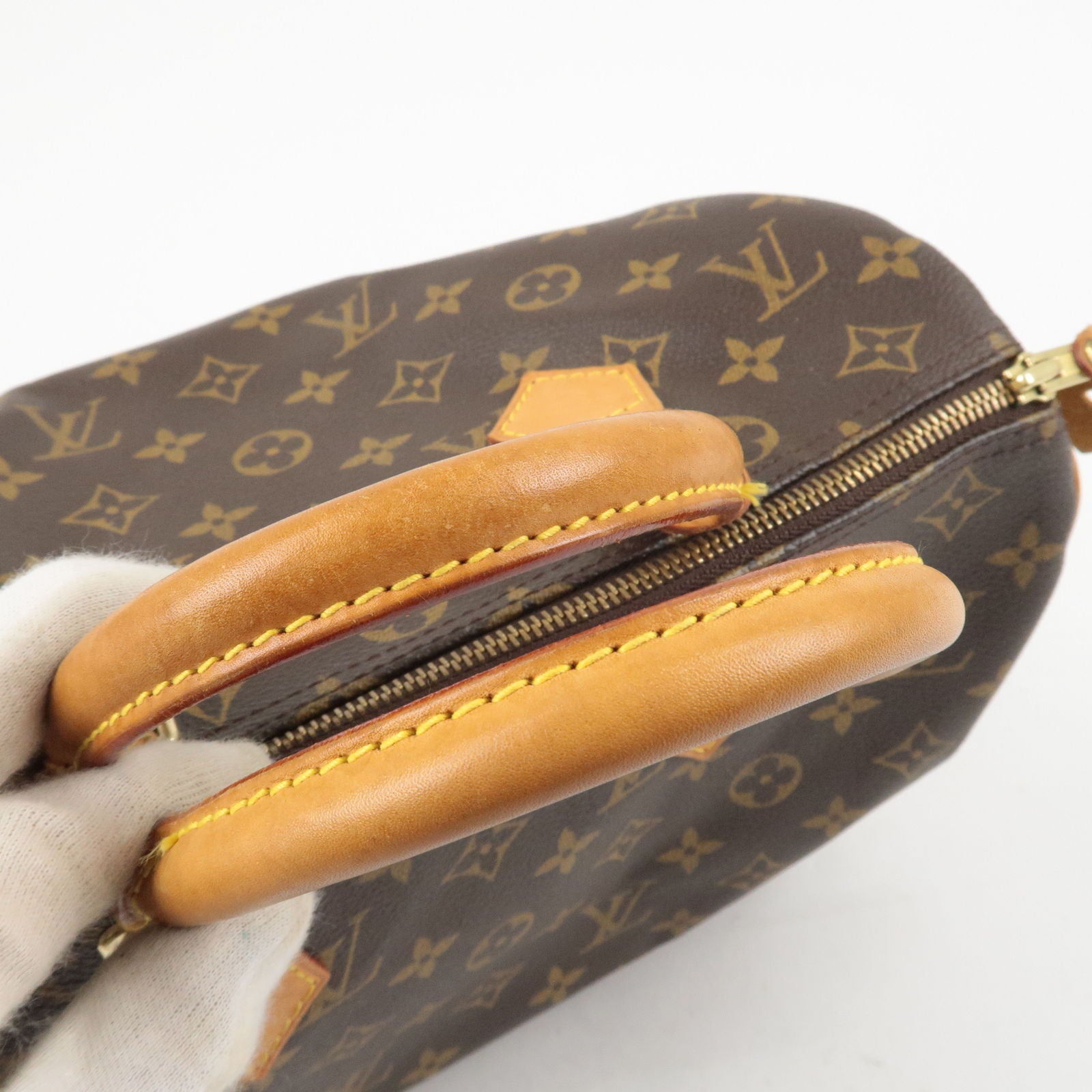 Louis Vuitton Monogram Automne Hiver Bag 