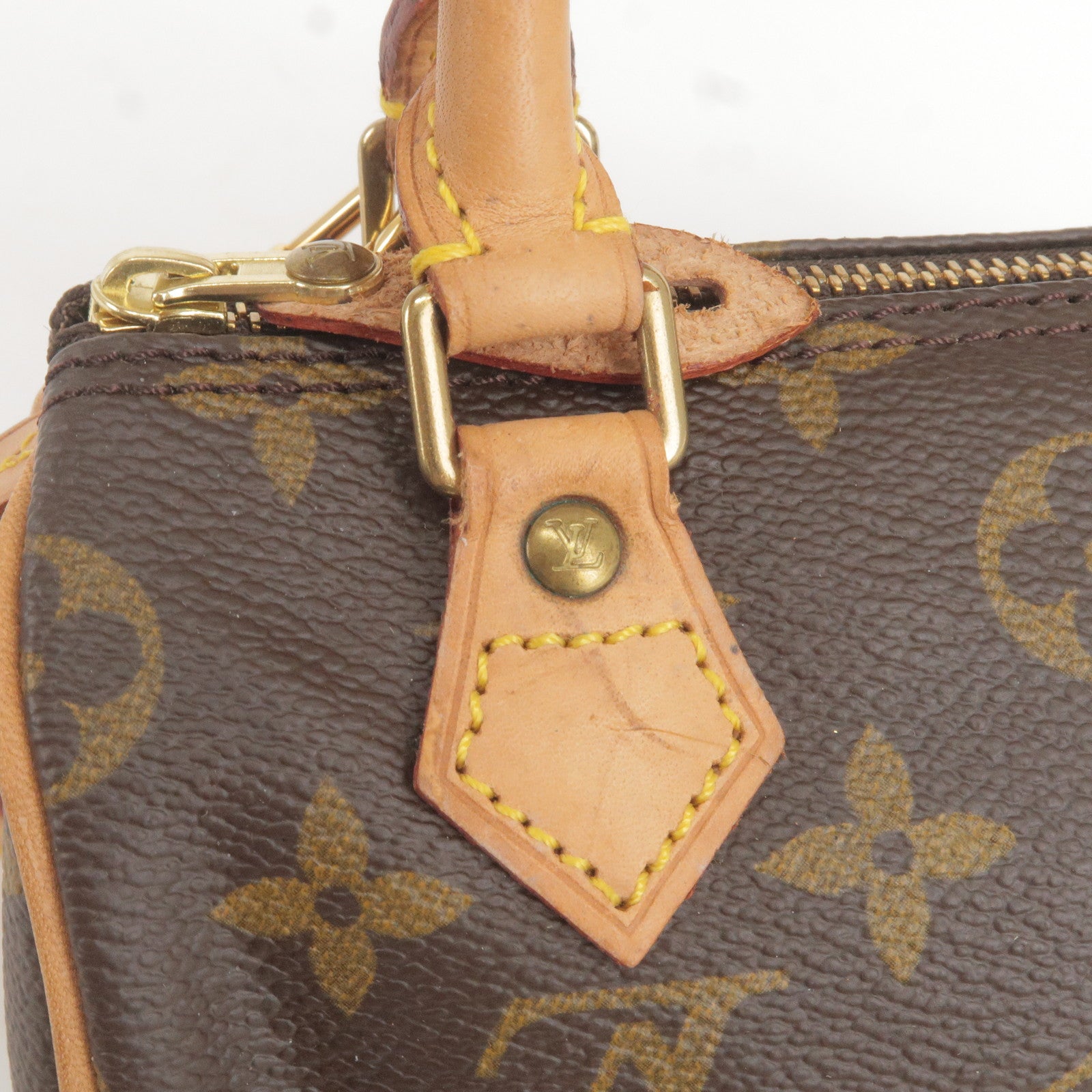 LOUIS VUITTON SPEEDY 25 REVIEW: Vintage Epi Noir, Meet Penelope