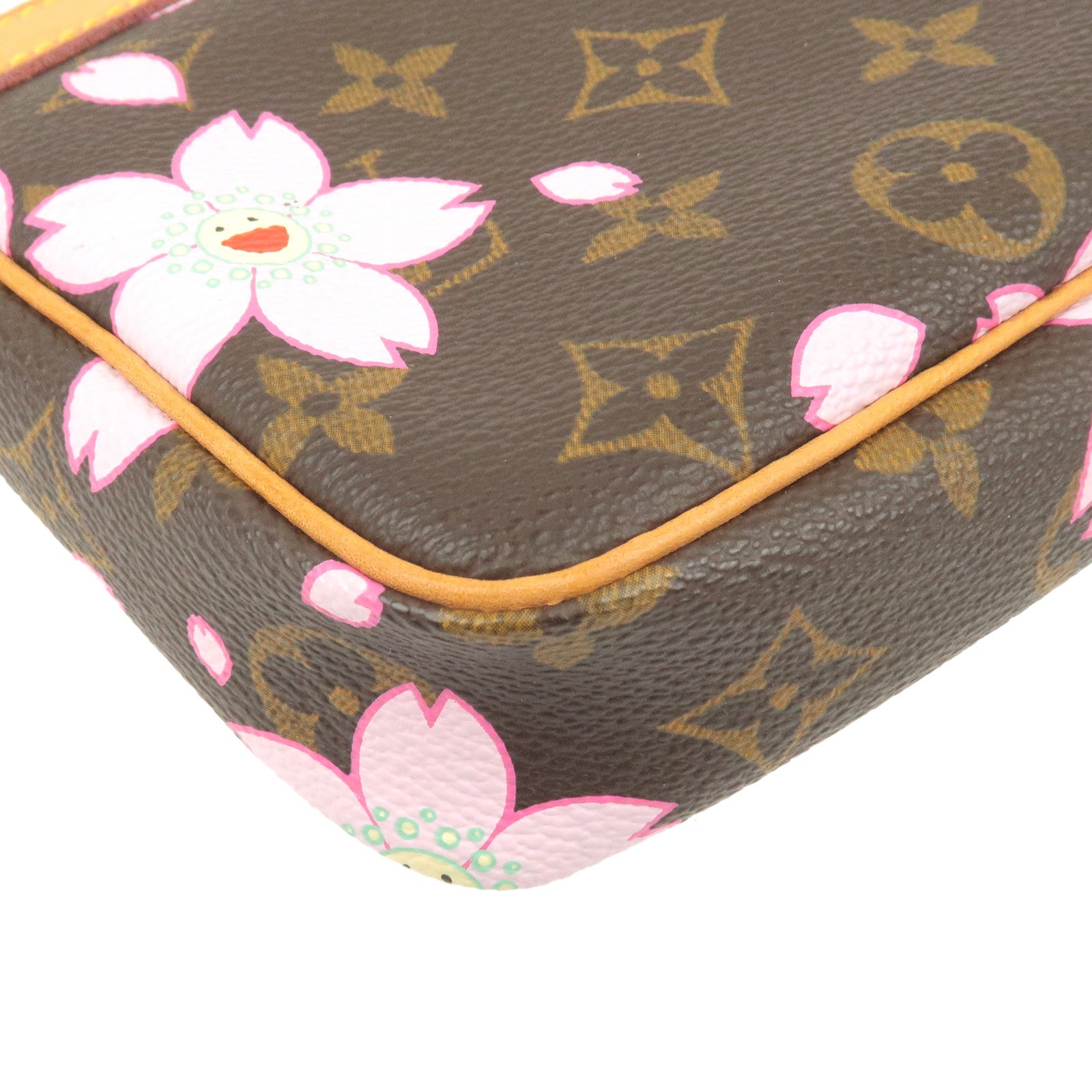 I took my Murakami cherry blossom pochette to see the cherry blossoms! :  r/Louisvuitton