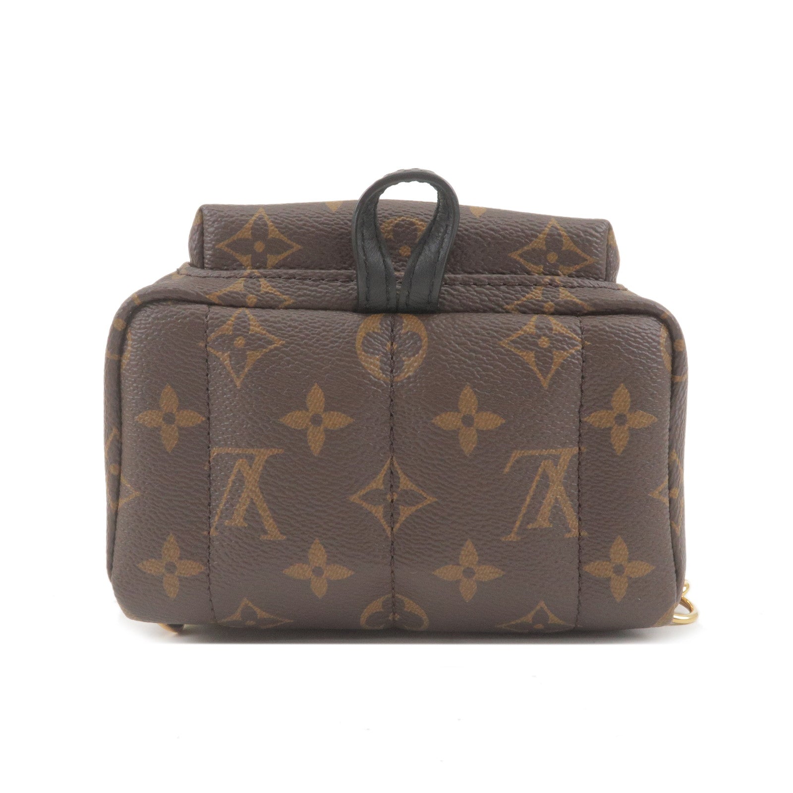 Louis Vuitton Palm Springs Mini Brown Canvas Backpack Bag (Pre-Owned)