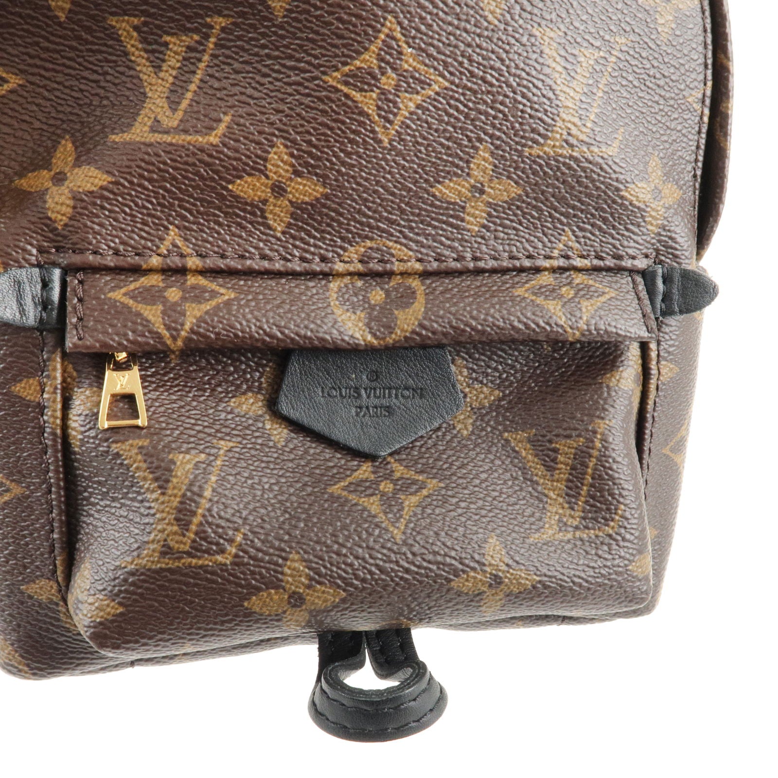 Louis Vuitton 2019 pre-owned Monogram Palm Spring PM Backpack