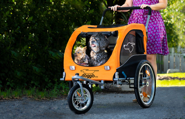 Doggo Luxury Bike Trailer & Stroller for Dogs – House of Bikes