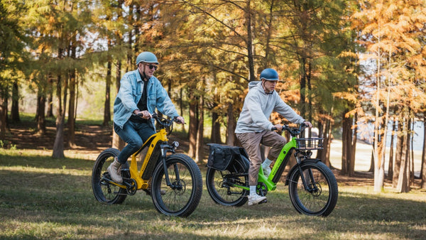 Magicycle High-Performance E-Bikes Collection
