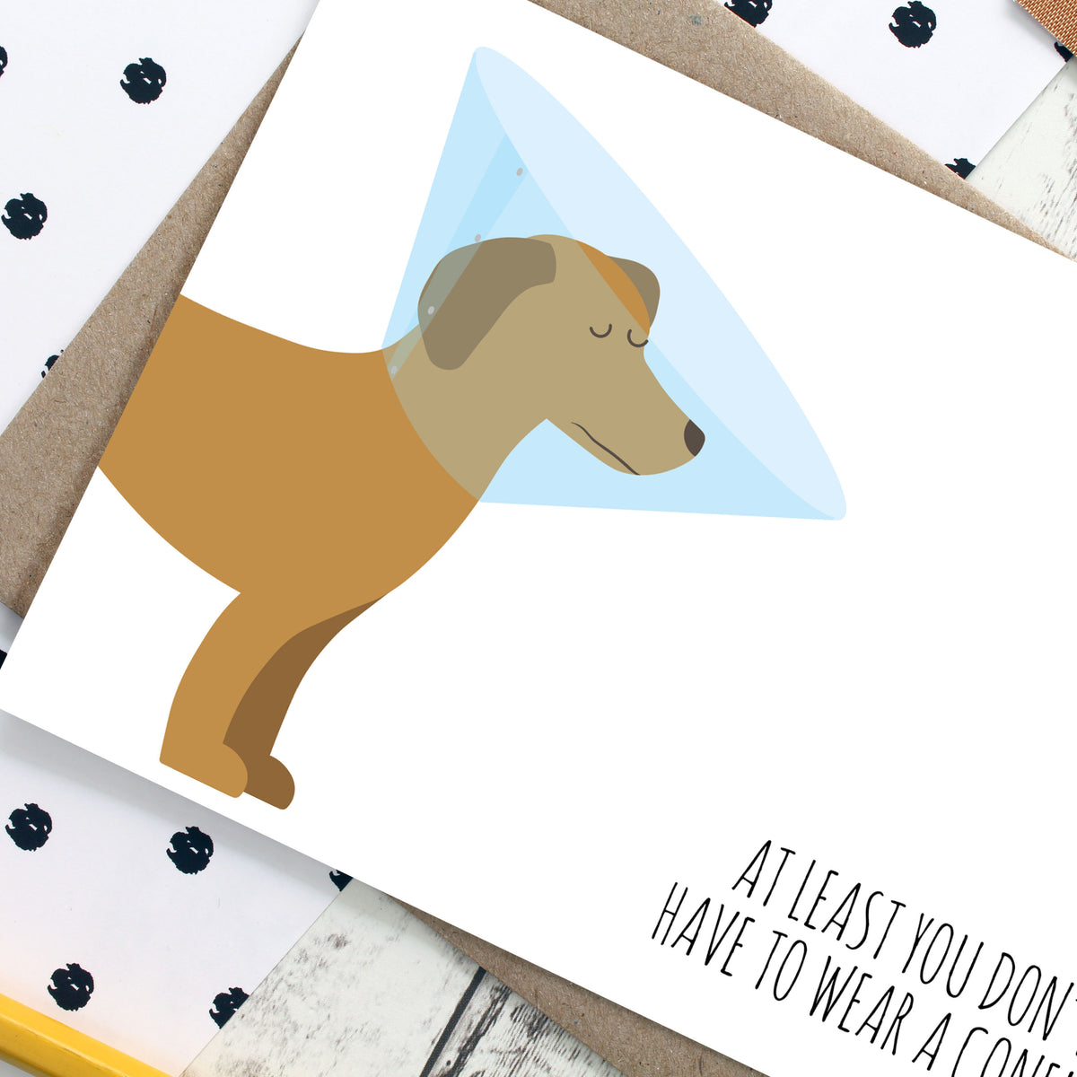 Dog with Cone Operation Recovery Card – Cheerful Geek