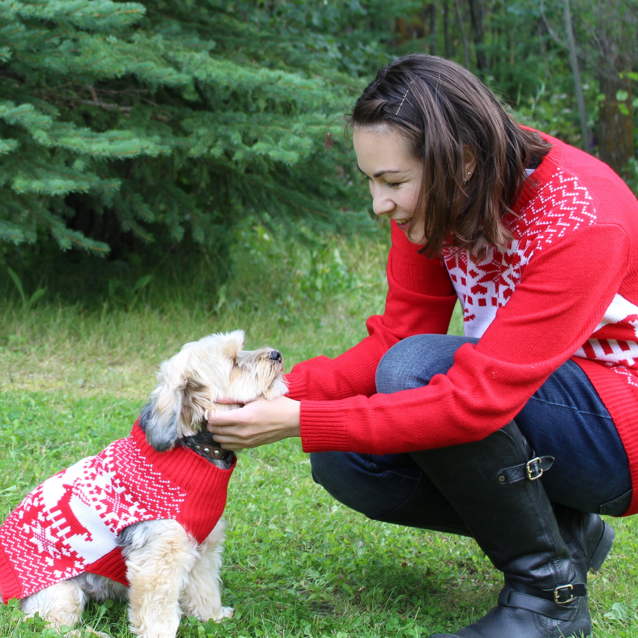 matching christmas sweaters for dog and owner