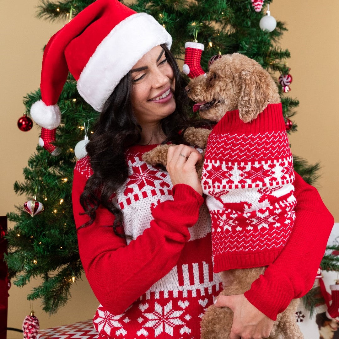 matching christmas dog sweater