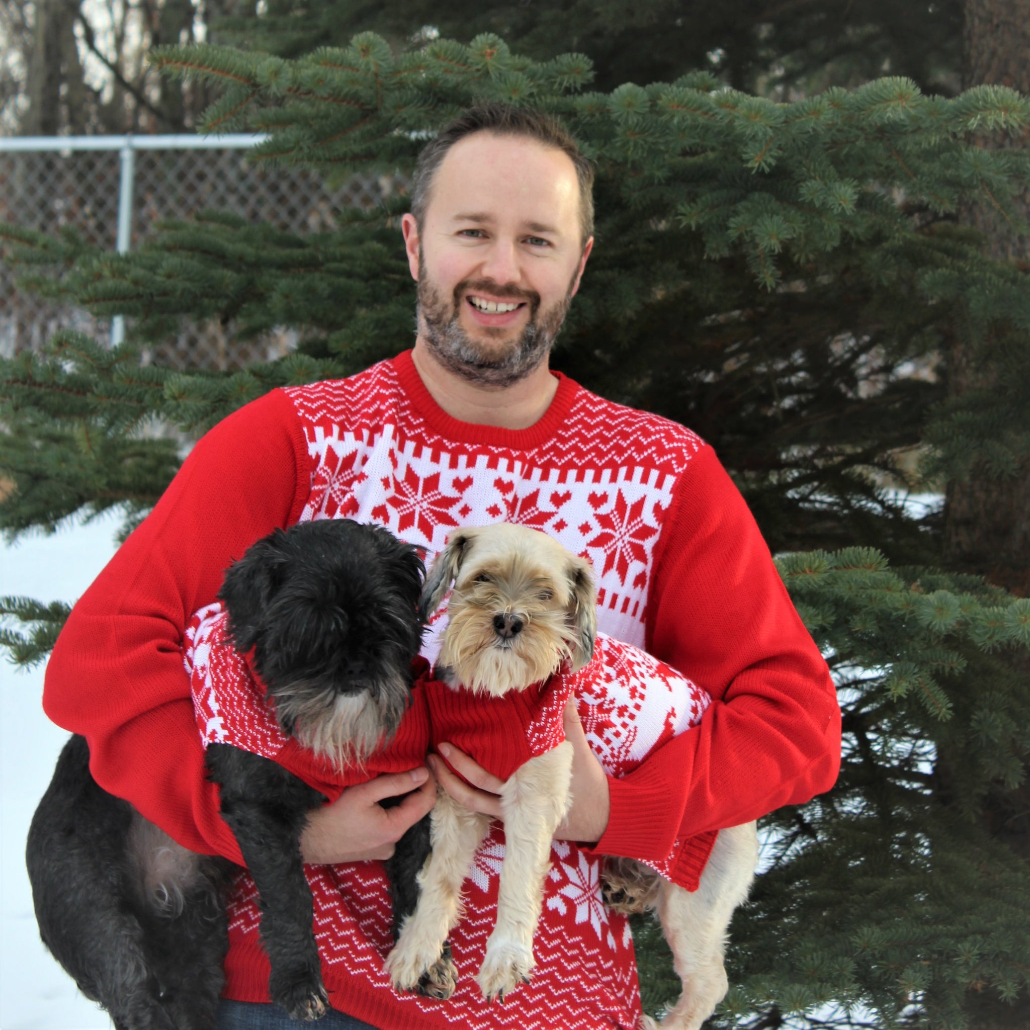 dog matching christmas jumper