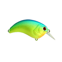 Deps Evoke Squarebill Crankbait Evoke 1.8 / Biwako Chart