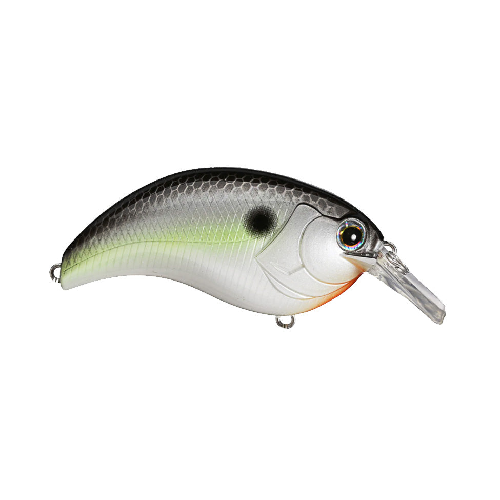 JAPAN Fishing Tackle - 🐟LURE OF TODAY🐟 Most popular Japanese magnum  crankbait from DEPS :)    #deps, #evoke, #magnumcrankbait, #bassfishing, #lure, #fishinglure