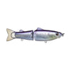 Butch Brown American Shad