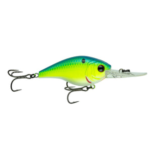 Blue-Treuse Shad