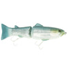 Butch Brown Gizzard Shad