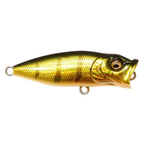 Megabass Baby Pop-X (BFS) GG Perch / 2" Megabass Baby Pop-X (BFS) GG Perch / 2"