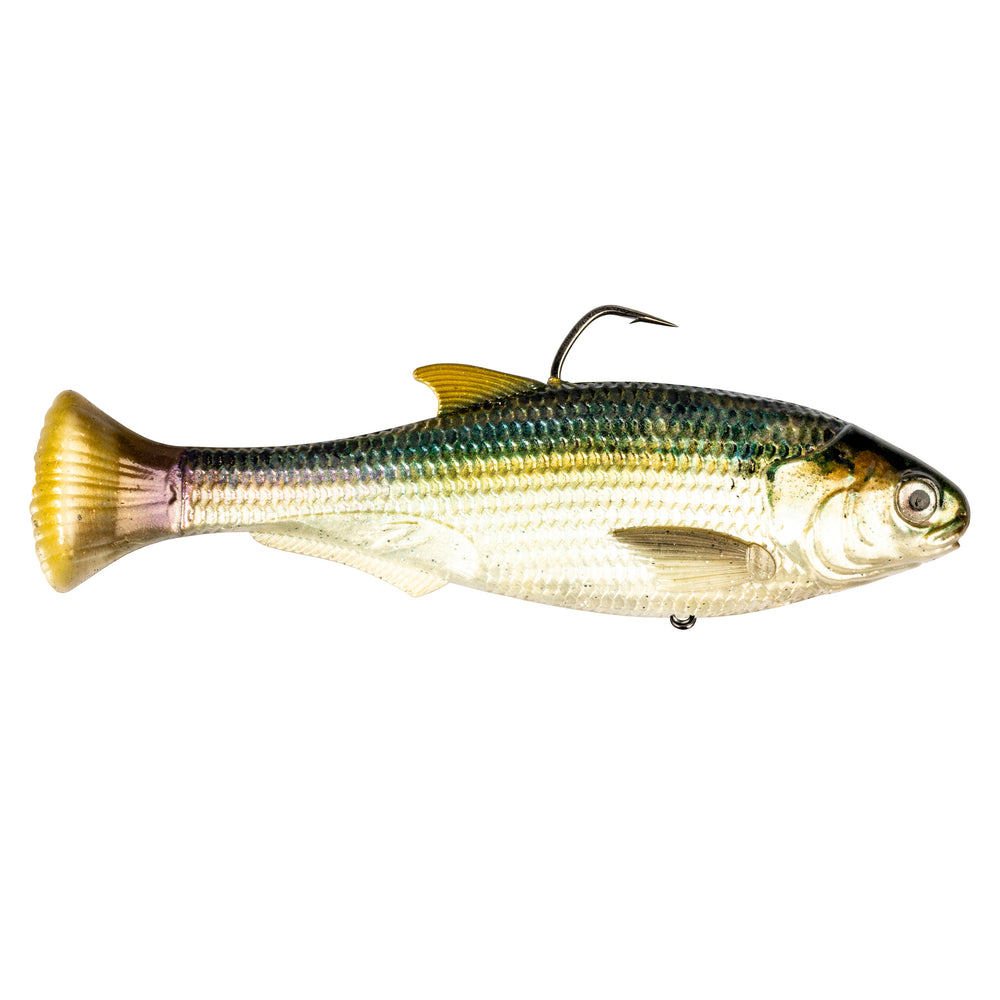 Z-Man Shadtron LT Swimbait 4 1/2" / Blueback Herring / Slow