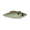 Green Gizzard Shad