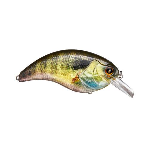 Deps Evoke Squarebill Crankbait Evoke 2.0 / Real Blue Gill Deps Evoke Squarebill Crankbait Evoke 2.0 / Real Blue Gill