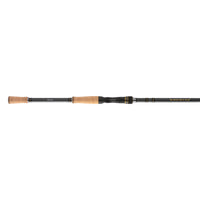 Shimano Intenza Glass Casting Rods