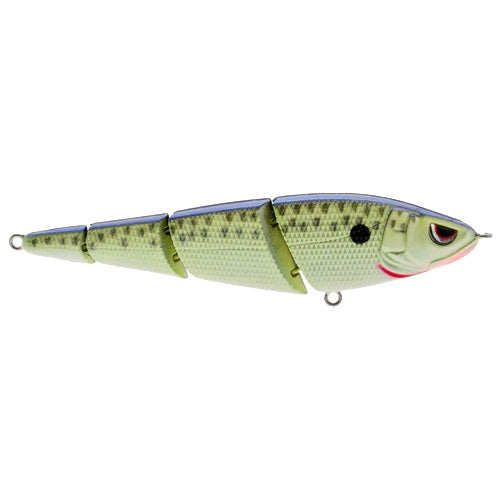 SPRO Sashimmy Swimmer 105 Cell Mate / 4 1/8"
