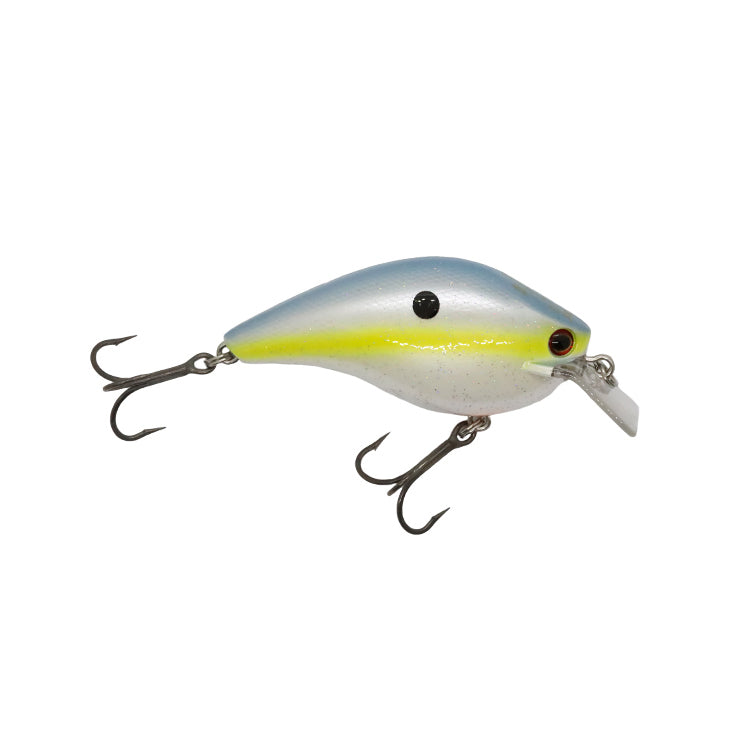 Ichikawa Fishing RC FLAT SHAD 45MD - 【Bass Trout Salt lure