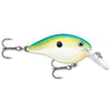 Citrus Shad