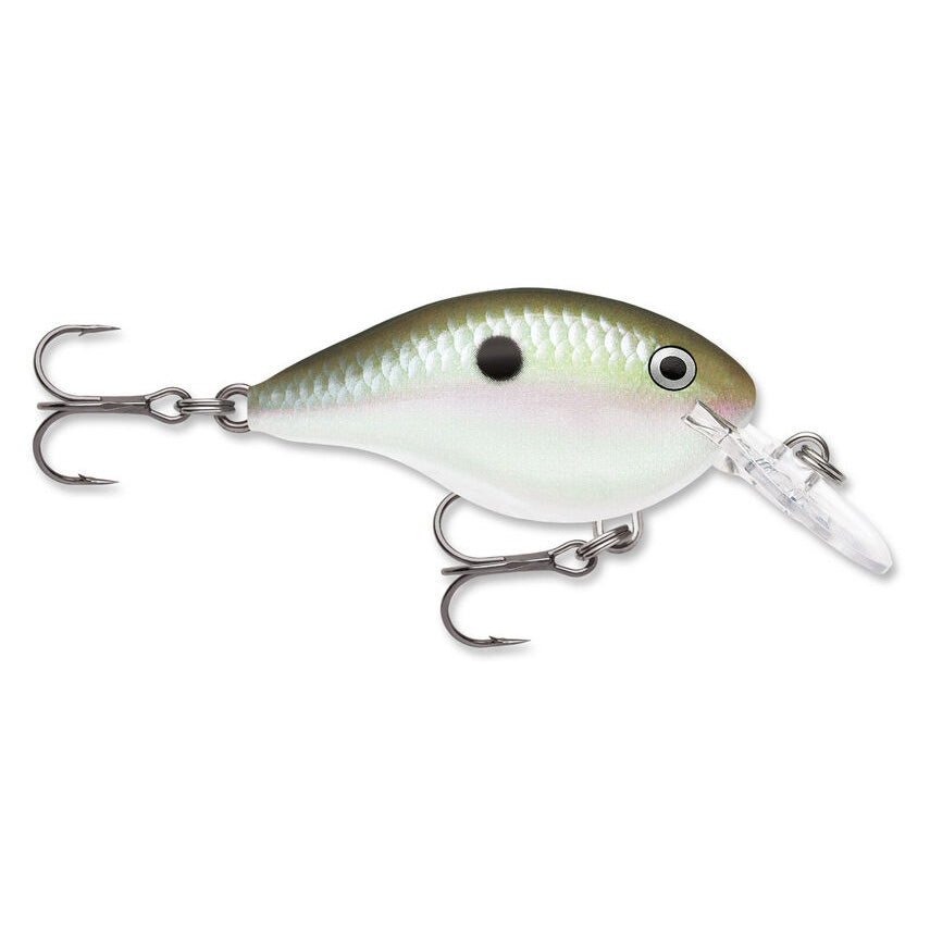 Rapala DT 4 Crankbait Green Gizzard Shad / 2"