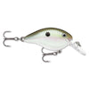 Green Gizzard Shad