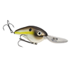 Summer Sexy Shad