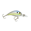 Chartreuse Shad