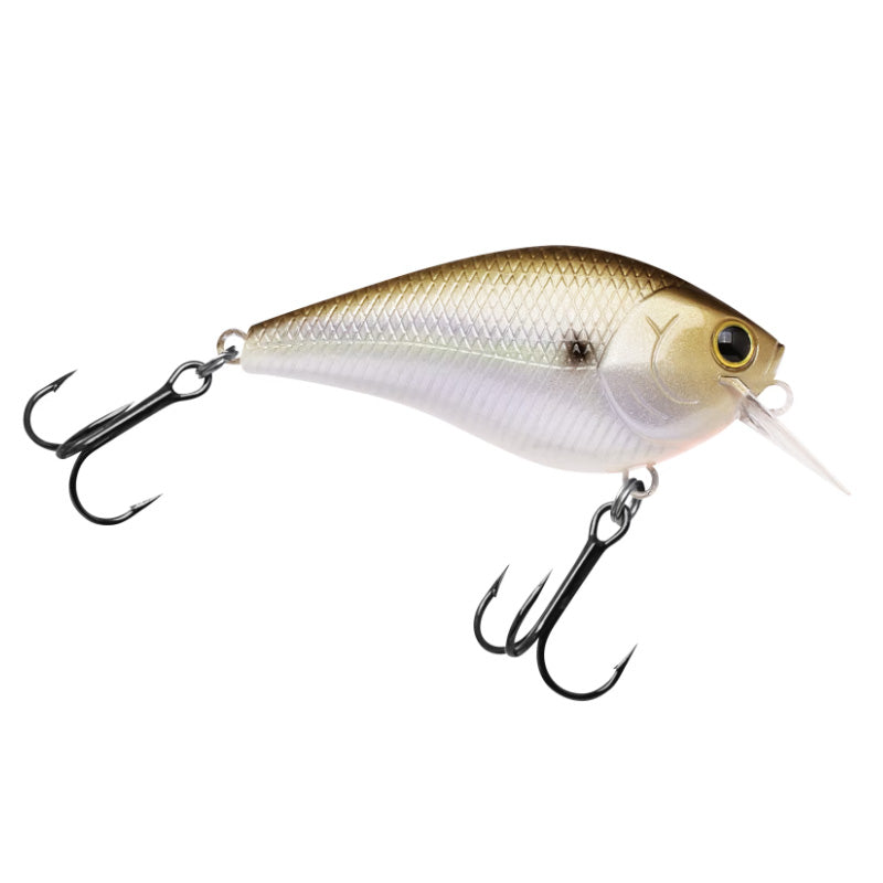 Lucky Craft LC 2.5 Shallow Squarebill Crankbait Gizzard Shad