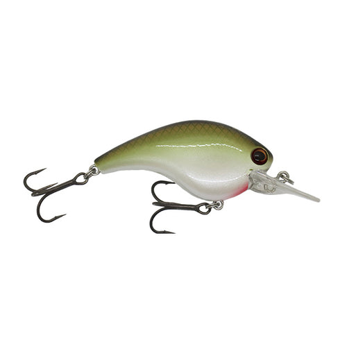 Ichikawa RC Flat Shad 65MD Squarebill Crankbait Green Shad / 2 3/5" Ichikawa RC Flat Shad 65MD Squarebill Crankbait Green Shad / 2 3/5"