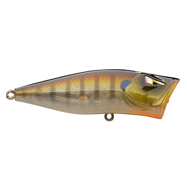 Ark Fishing Elite Z-Pop 70 Topwater Popper JP Gill / 2 3/4"