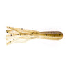 Juvenile Goby