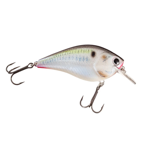 Lucky Craft LC 2.5 Shallow Squarebill Crankbait Gizzard Shad