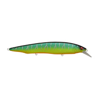 Megabass Kanata Jerkbait Mat Tiger / 6 1/3"