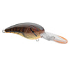 Natural Brown Craw