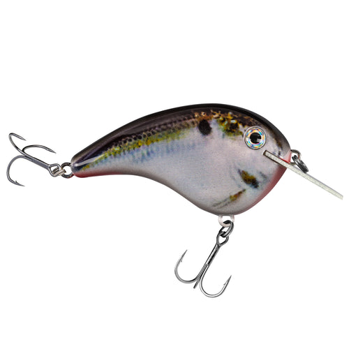 Strike King Chick Magnet Jr. Flat Sided Crankbait Natural Shad / 2 1/4" Strike King Chick Magnet Jr. Flat Sided Crankbait Natural Shad / 2 1/4"