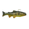 Yellow Perch