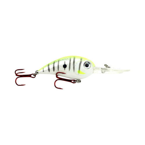  Jenko CCBCT Crappie 2 Crank Bait Chartreuse Tiger : Sports &  Outdoors
