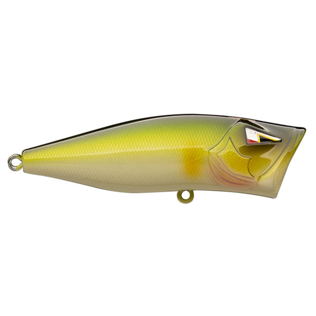 Ark Fishing Elite Z-Pop 70 Topwater Popper Tenn Shad / 2 3/4"