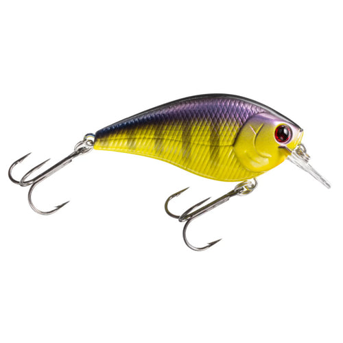 Shepard Shad 2.0 Square Bill Crankbait - 6 Pack