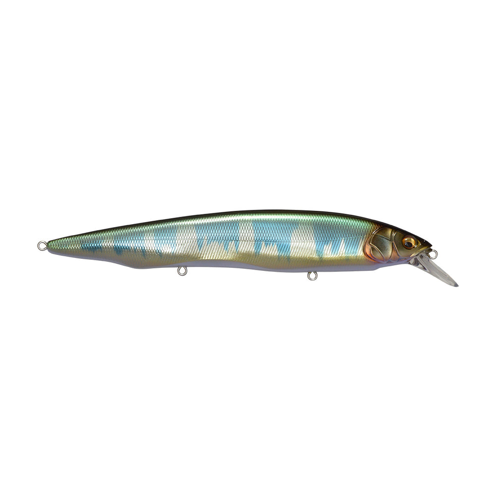 Megabass Kanata Jerkbait Wagin Hasu KT / 6 1/3"