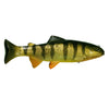 Yellow Perch